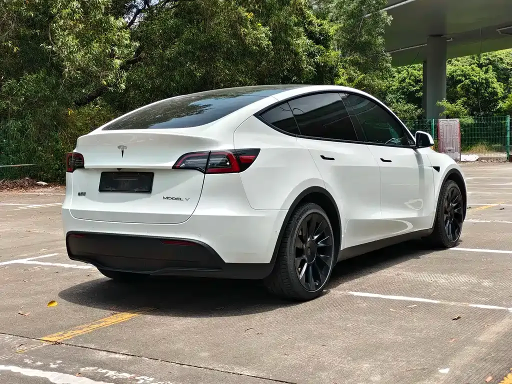 Tesla Model Y — фото 7