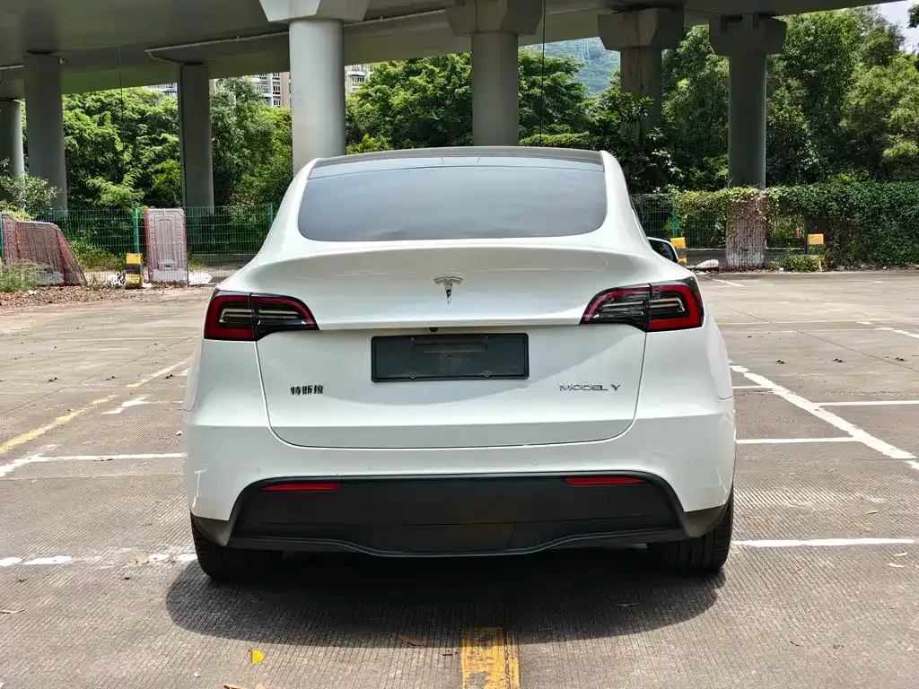 Tesla Model Y — фото 3