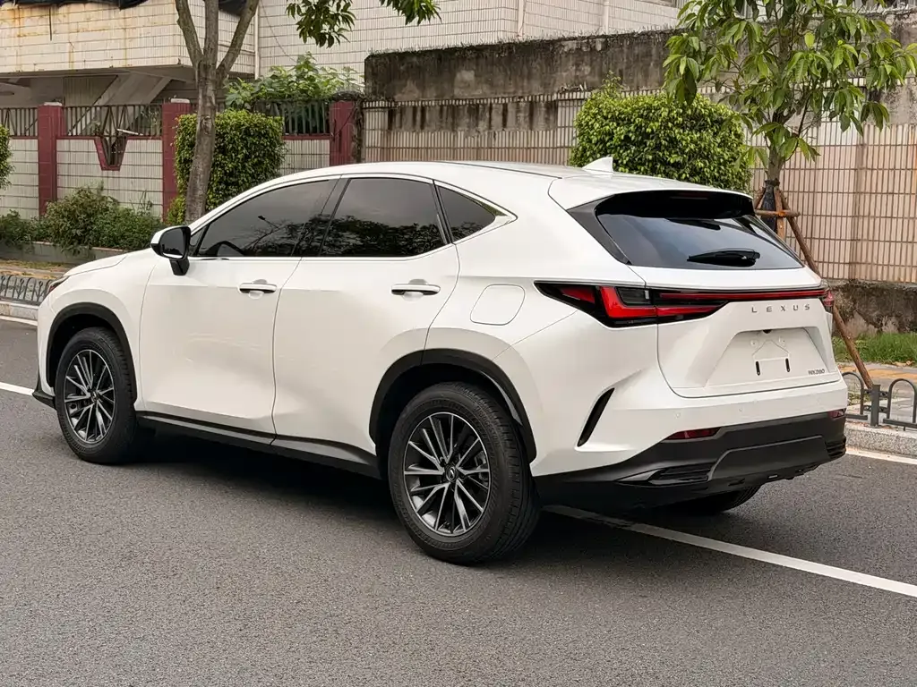 Lexus NX — фото 6