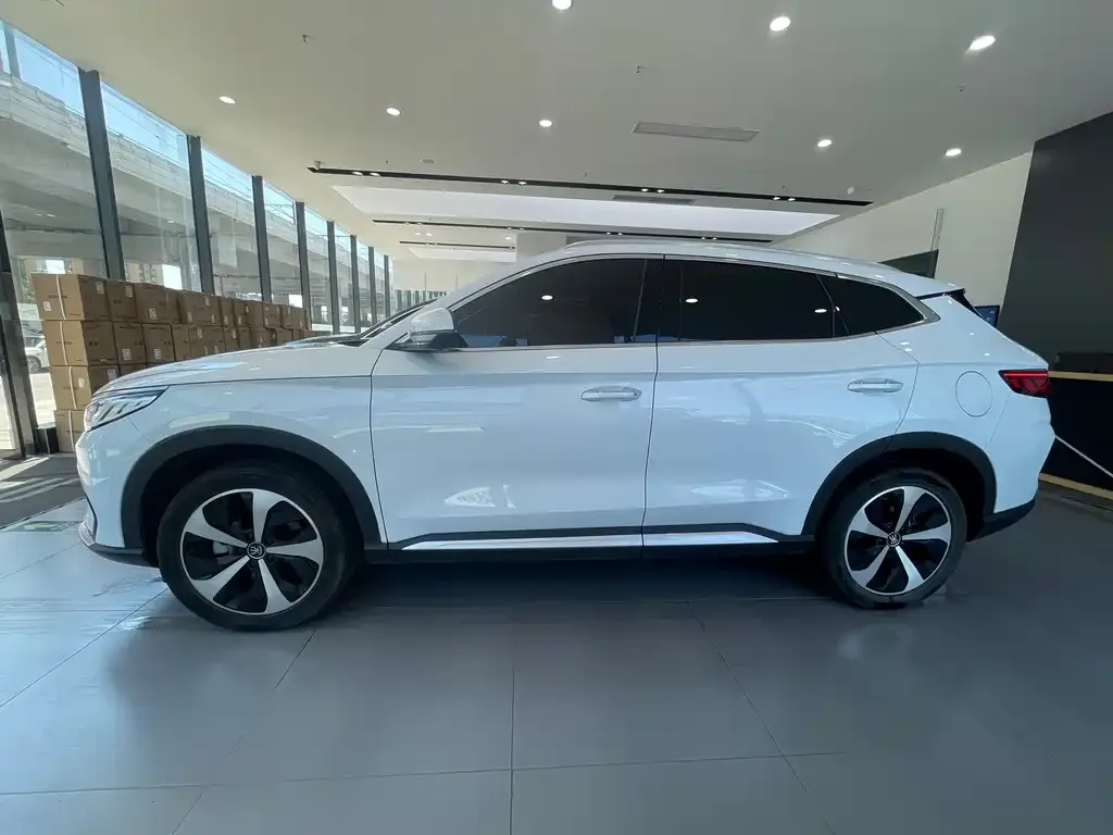 BYD PLUS New Energy — фото 2