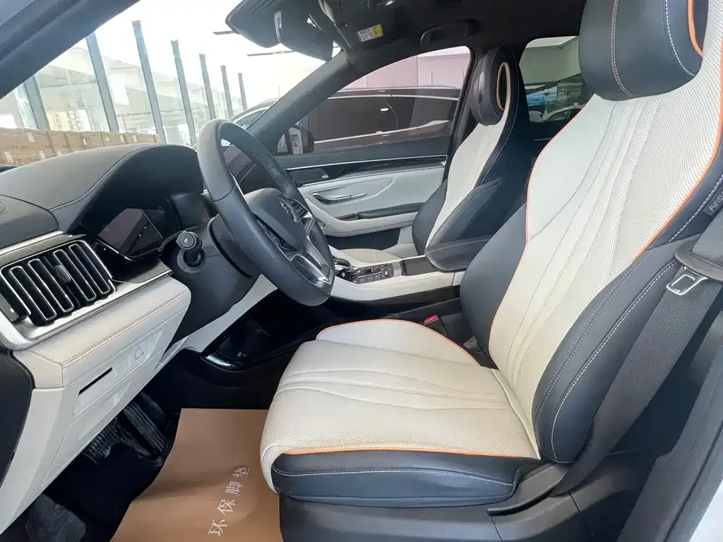 BYD PLUS New Energy — фото 10