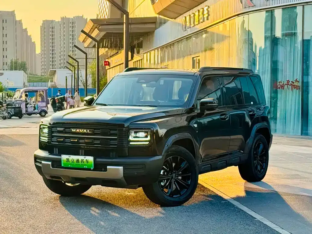 Haval Menglong New Energy — фото 1