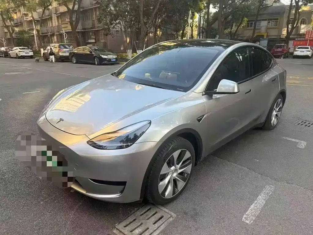 Tesla Model Y — фото 1