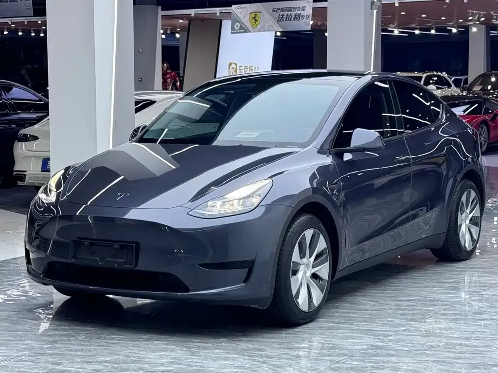 Tesla Model Y — фото 1