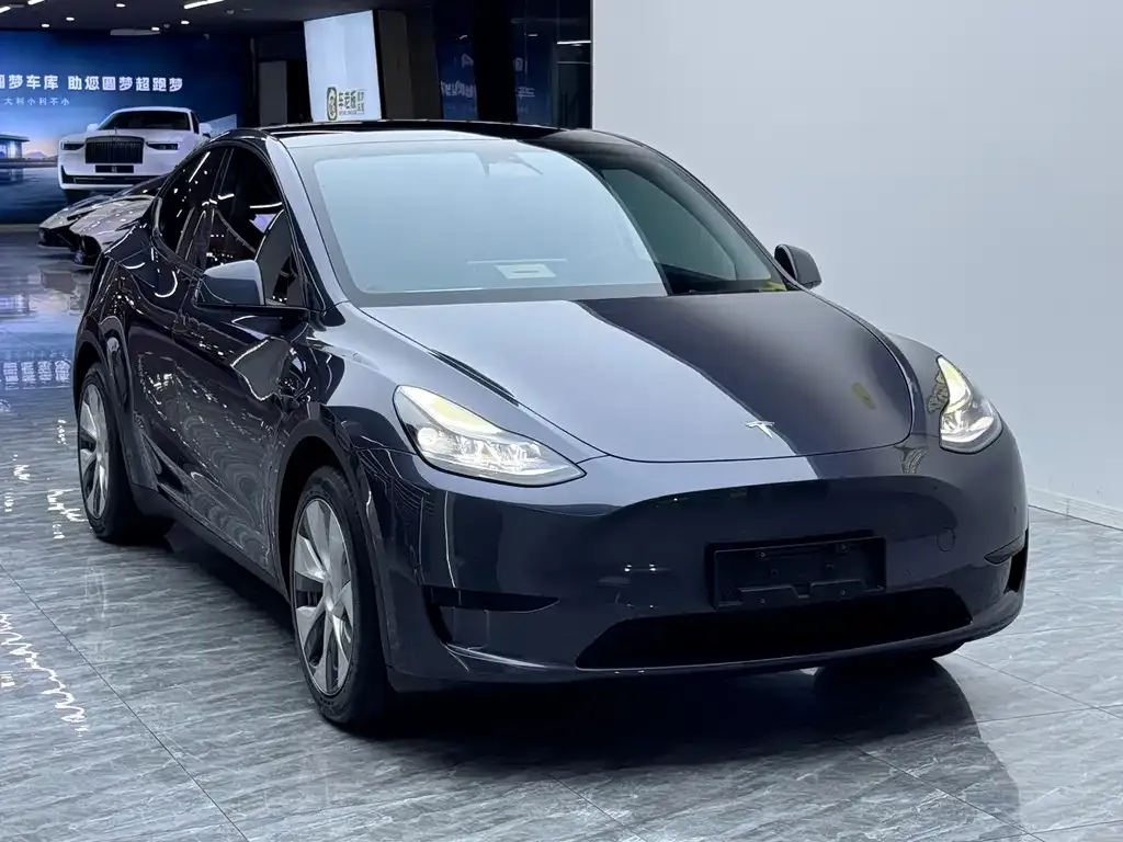 Tesla Model Y — фото 8