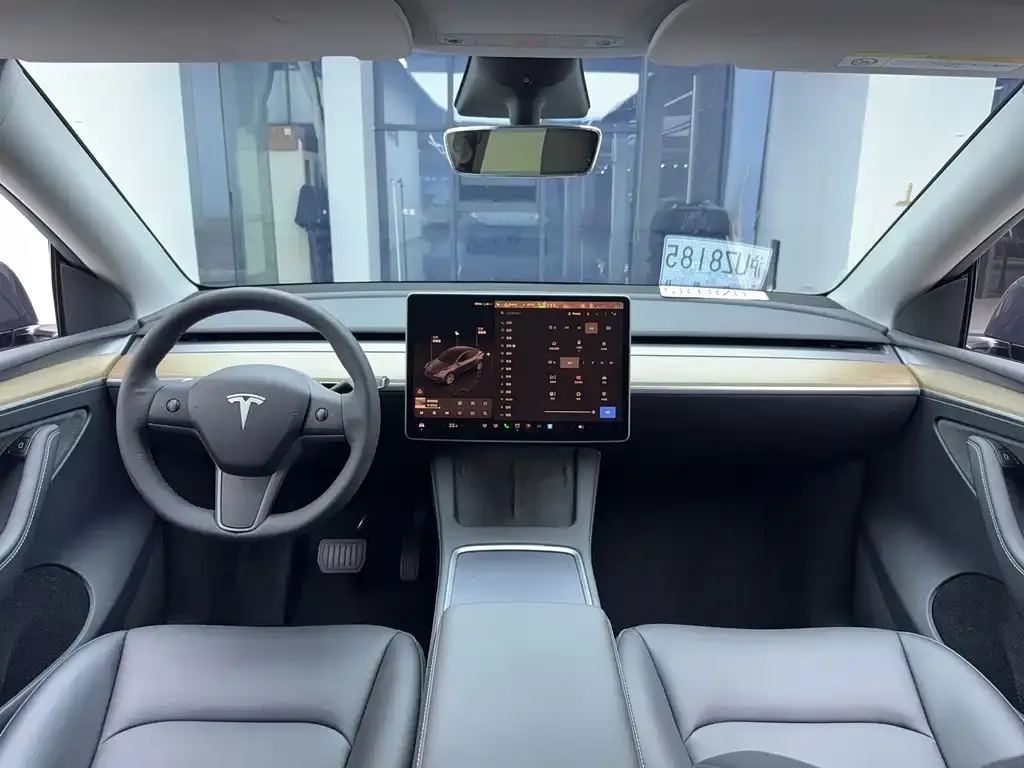 Tesla Model Y — фото 2