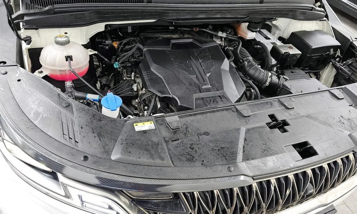 Kia Carnival — фото 10