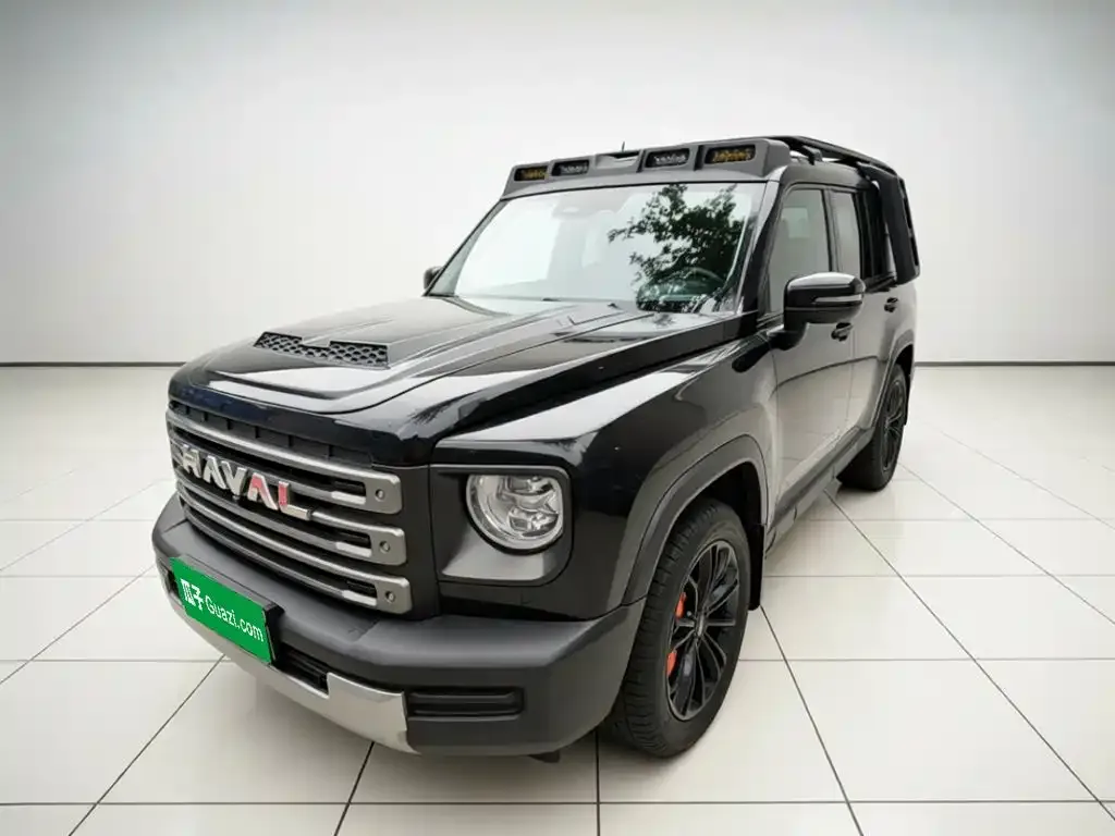 Haval Menglong New Energy — фото 1