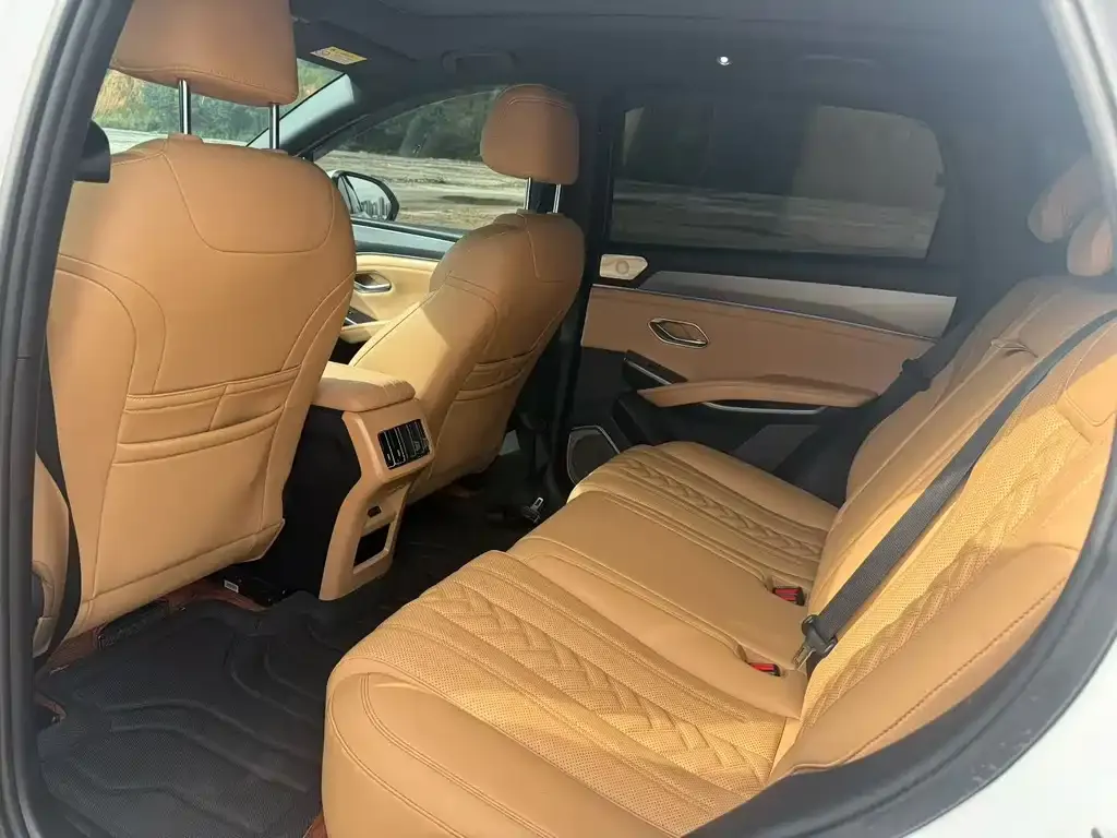 BYD L DM-i — фото 2