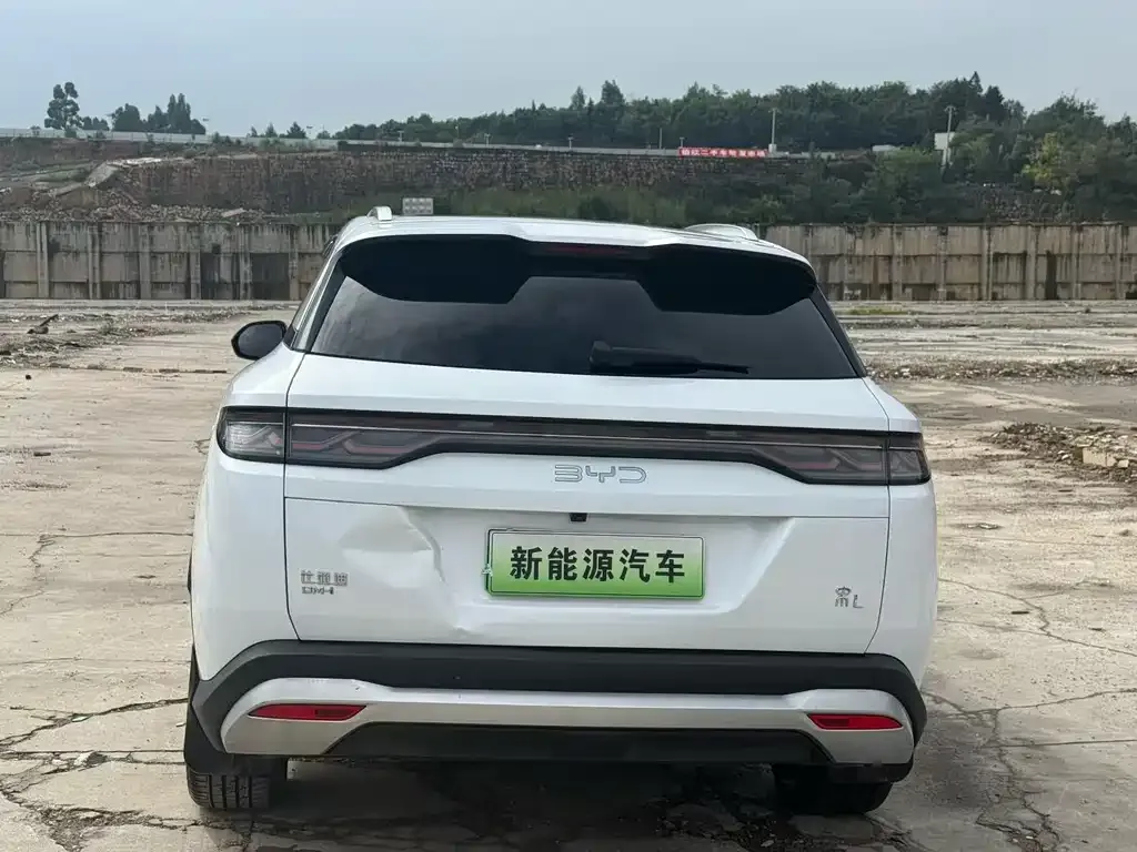 BYD L DM-i — фото 9