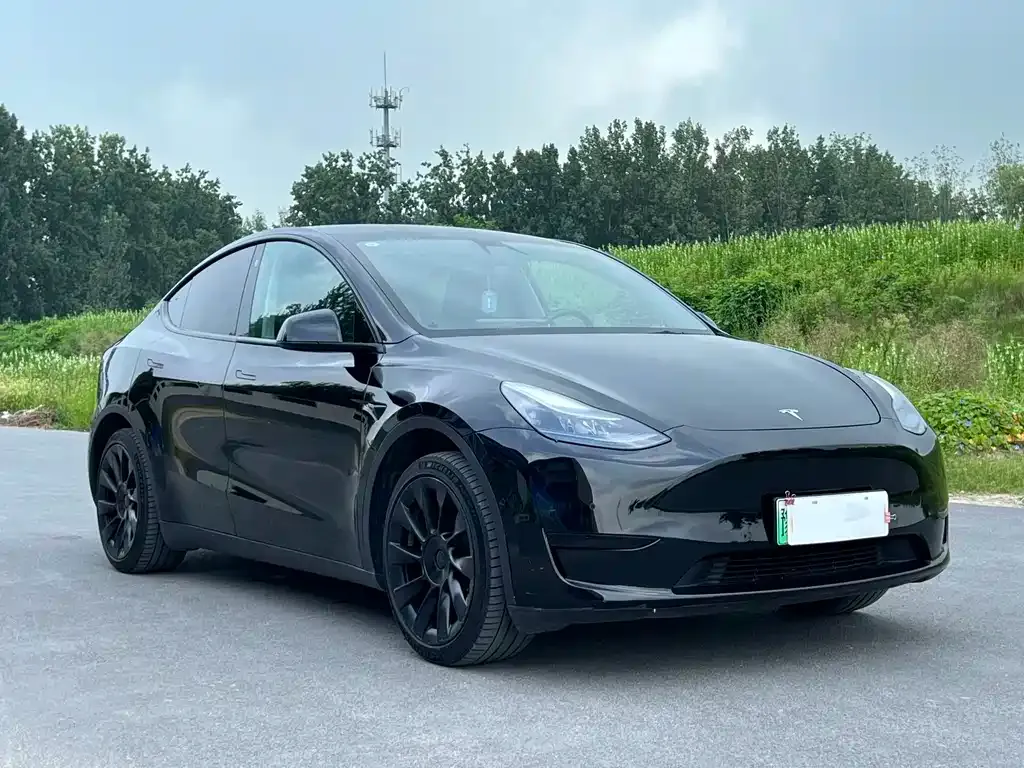Tesla Model Y — фото 5