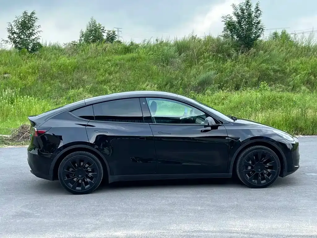 Tesla Model Y — фото 10