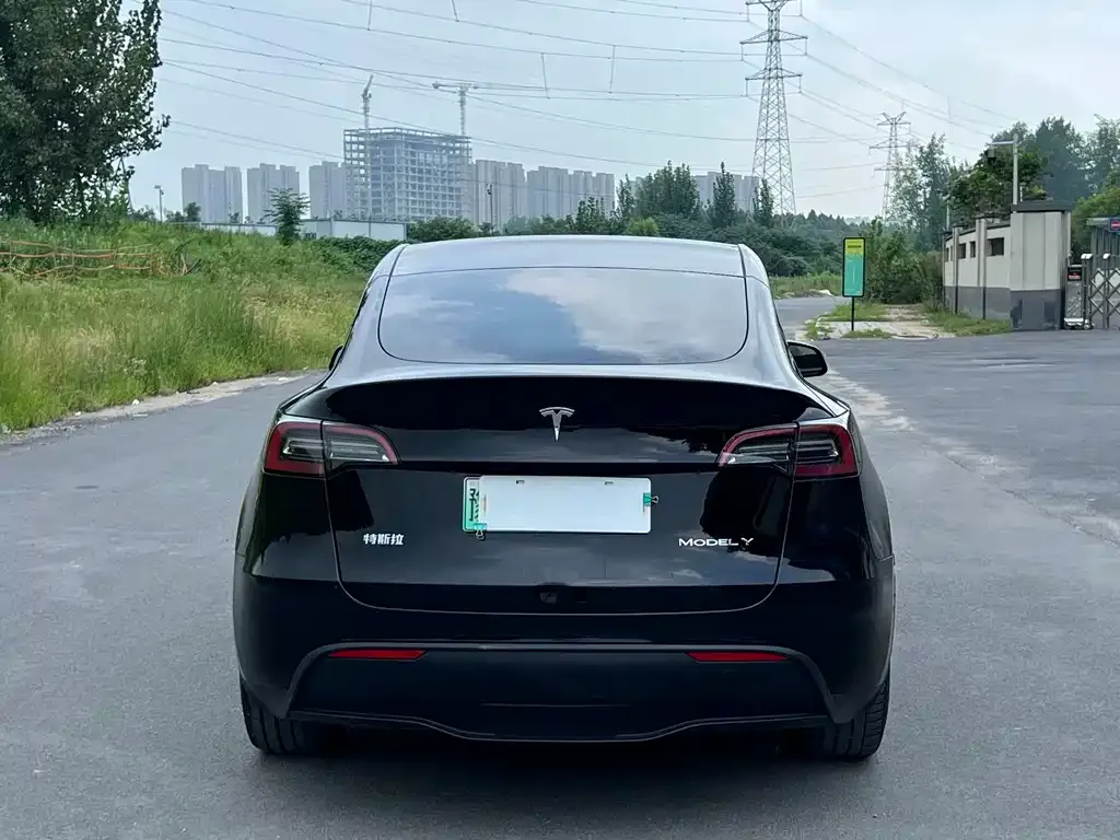 Tesla Model Y — фото 2