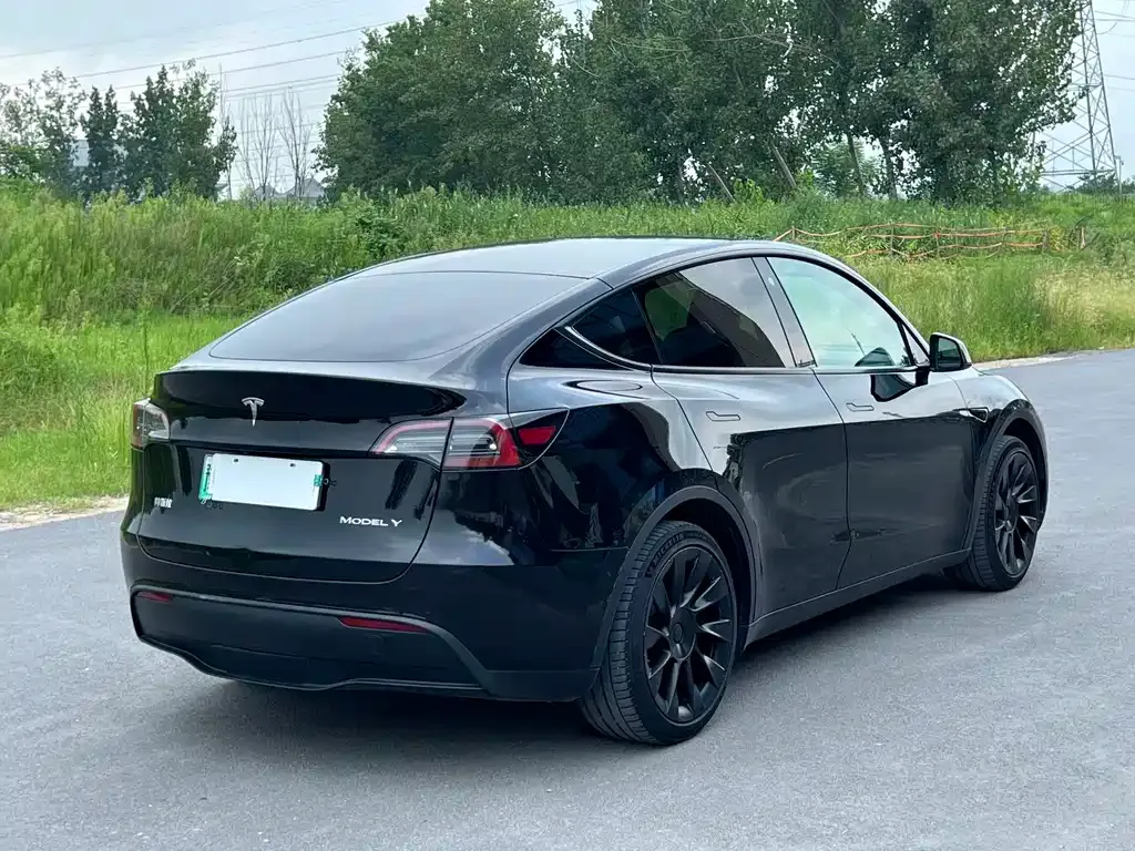Tesla Model Y — фото 6