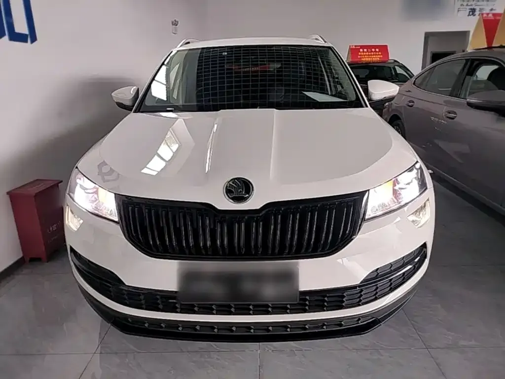 Skoda Karoq — фото 8