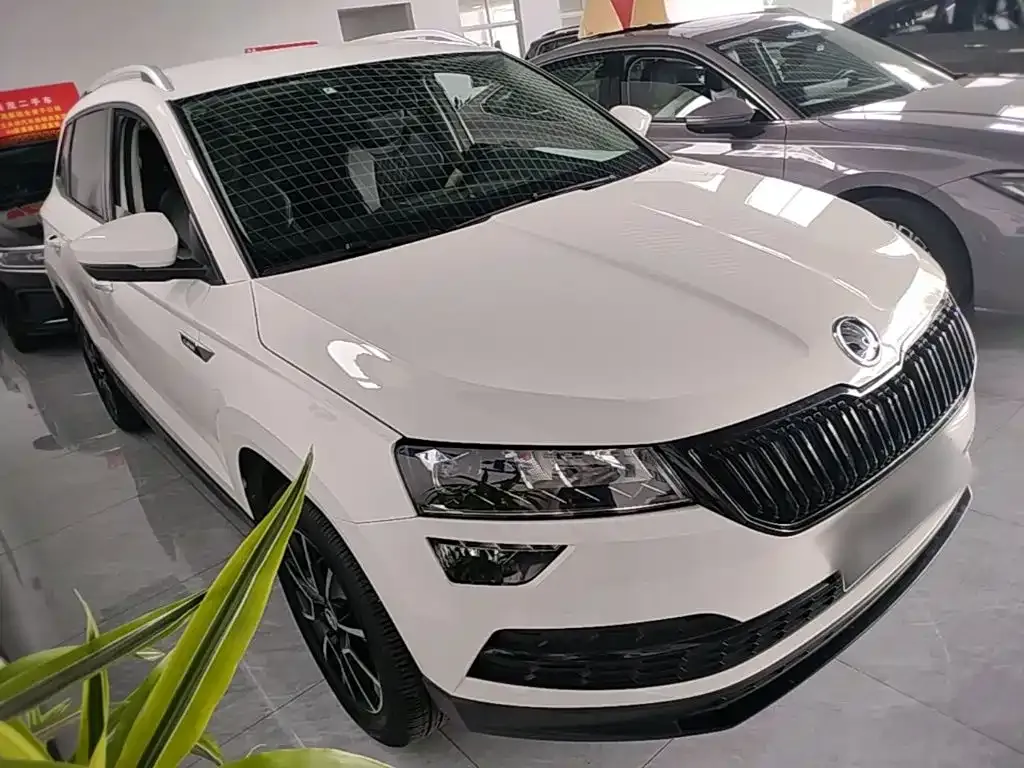 Skoda Karoq — фото 9