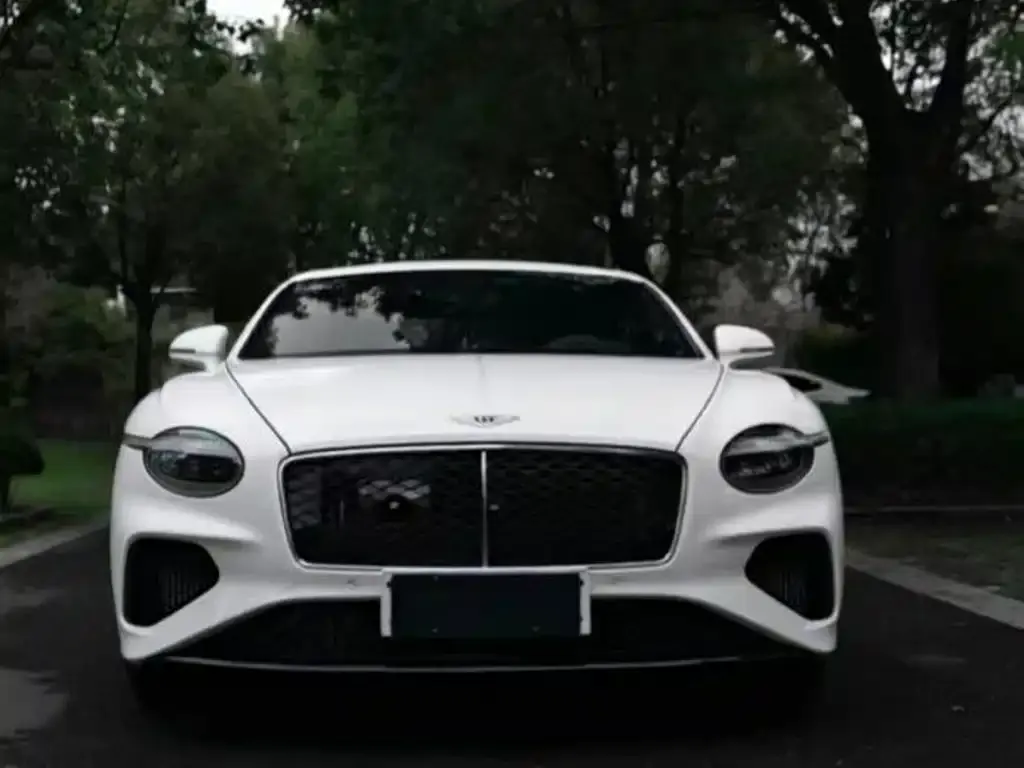 Bentley Continental PHEV — фото 9