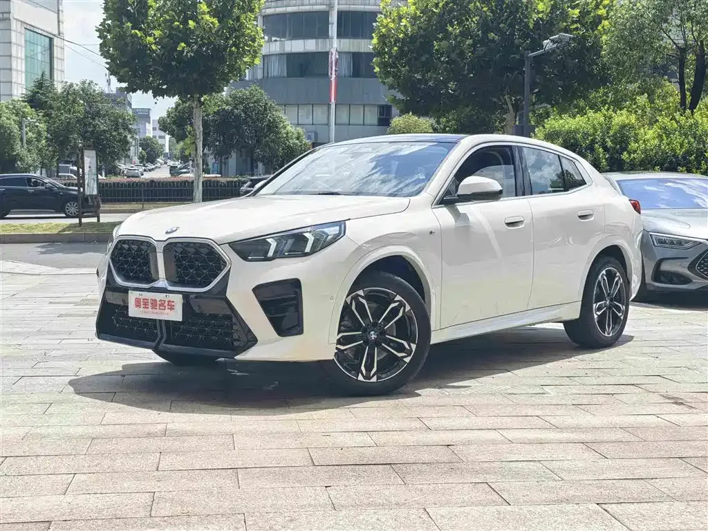 BMW X2 (Import) — фото 1