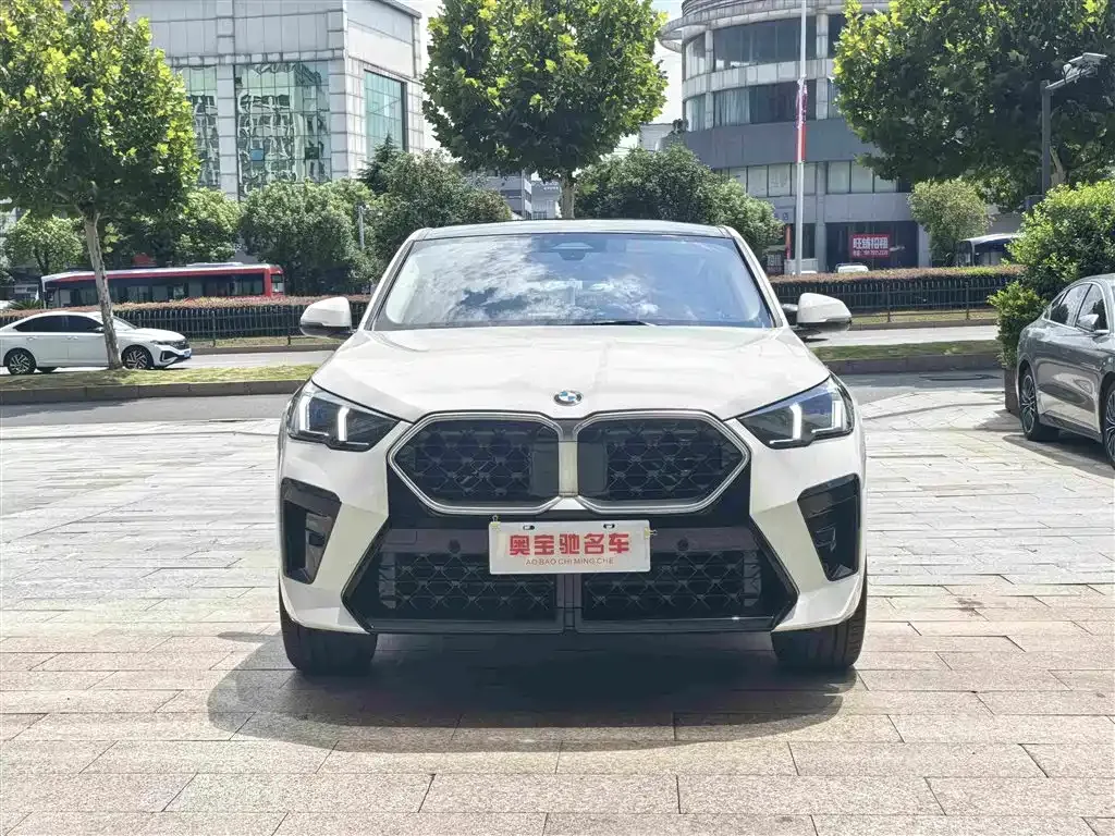 BMW X2 (Import) — фото 6