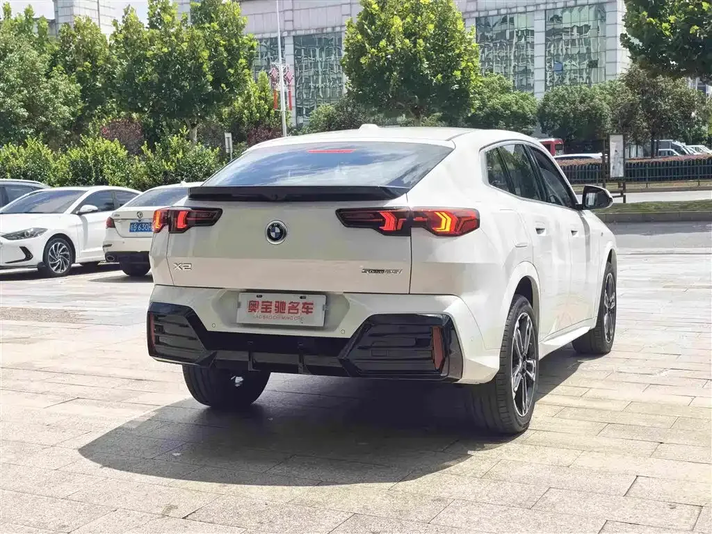 BMW X2 (Import) — фото 10