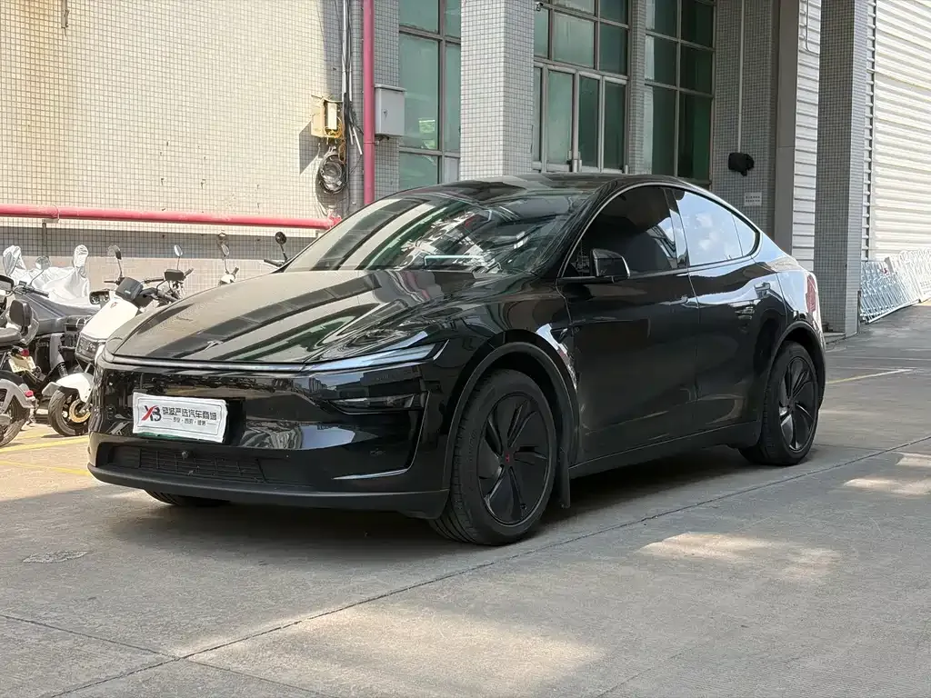 Tesla Model Y — фото 1