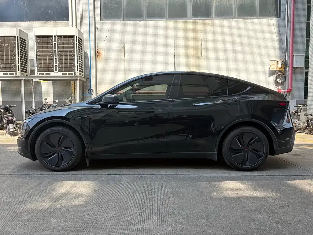 Tesla Model Y — фото 10
