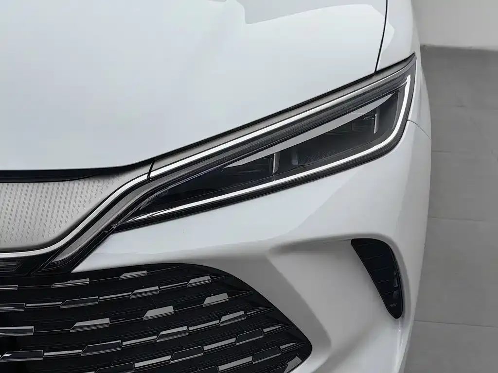 BYD L DM-i — фото 8
