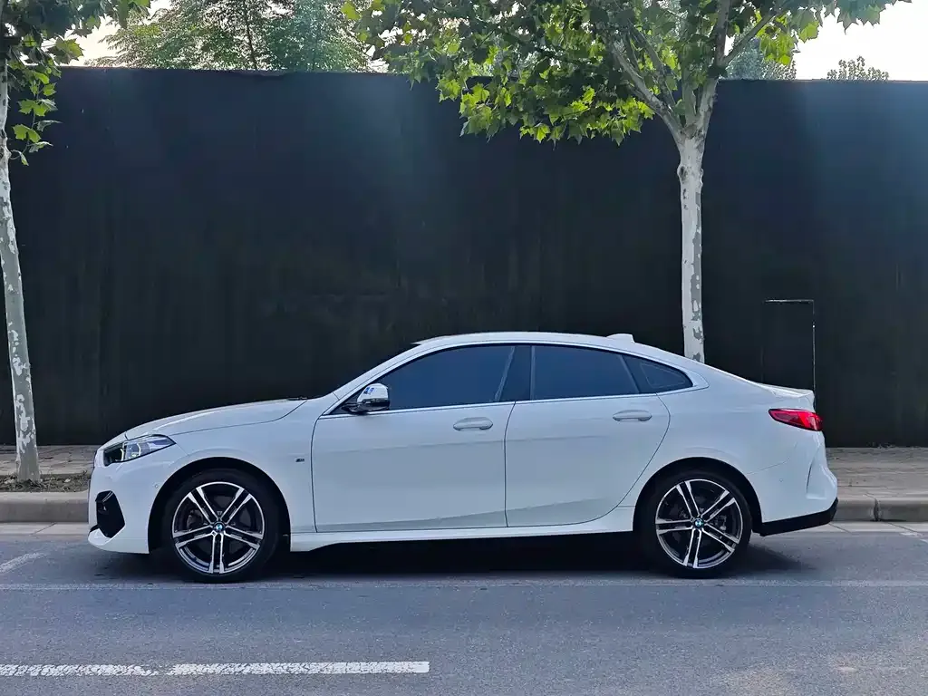 BMW 2 Series (Import) — фото 10