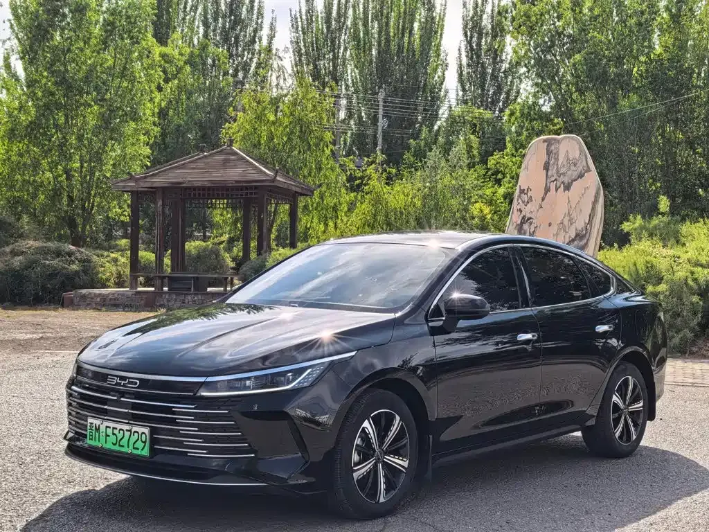 BYD Destroyer 05 — фото 1