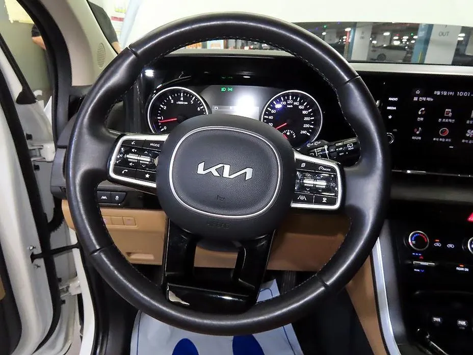 Kia Carnival — фото 10