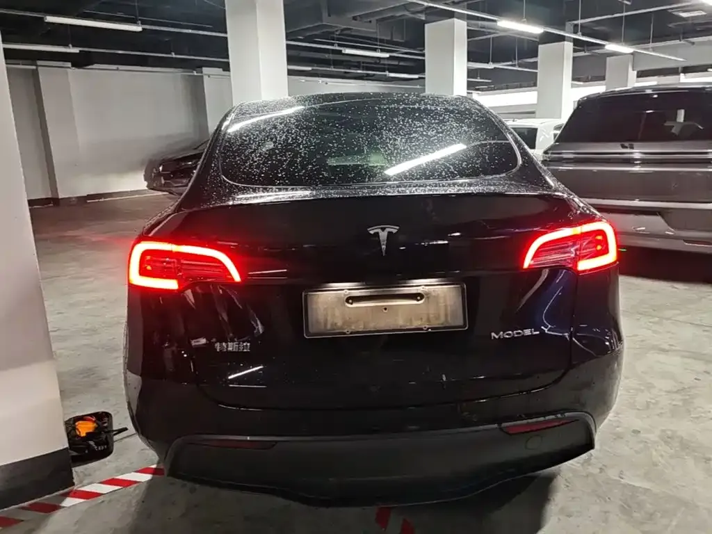 Tesla Model Y — фото 5