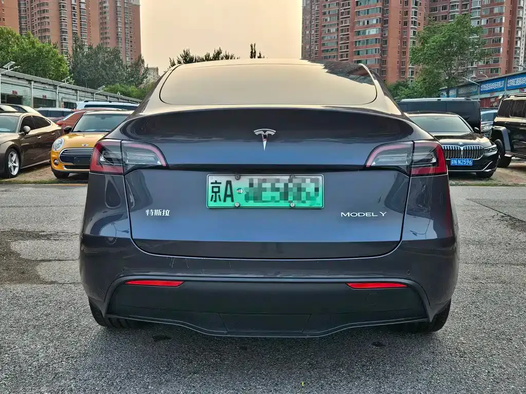 Tesla Model Y — фото 5
