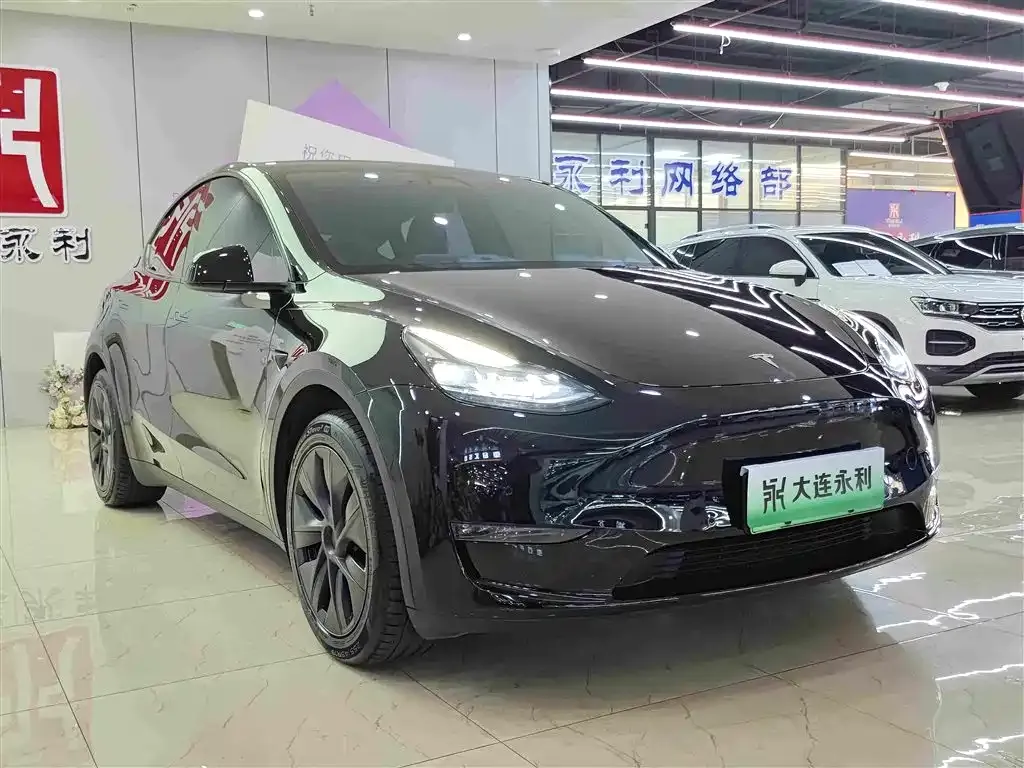 Tesla Model Y — фото 9