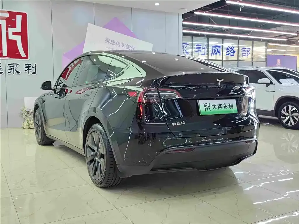 Tesla Model Y — фото 10