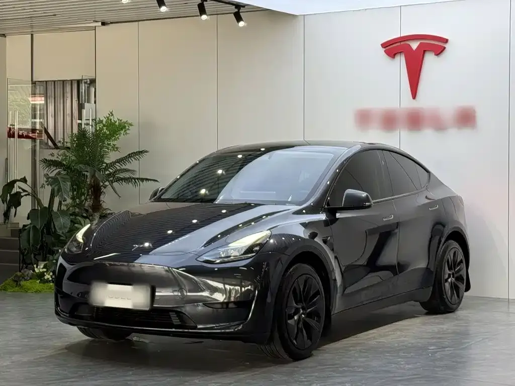Tesla Model Y — фото 1