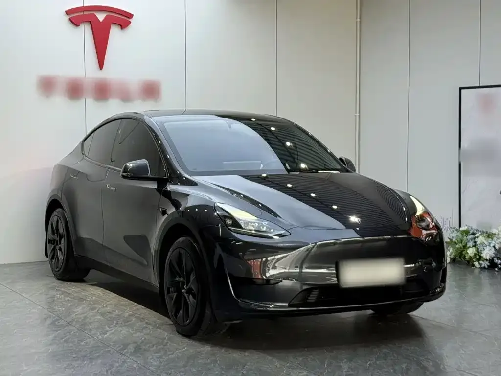 Tesla Model Y — фото 8