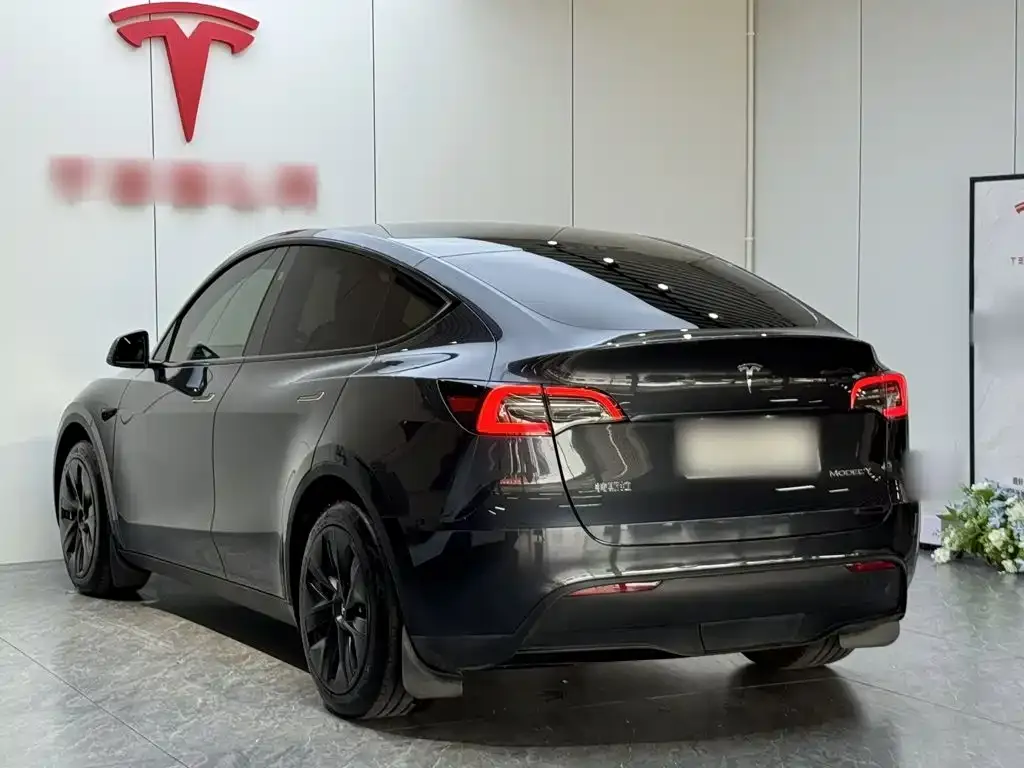 Tesla Model Y — фото 5