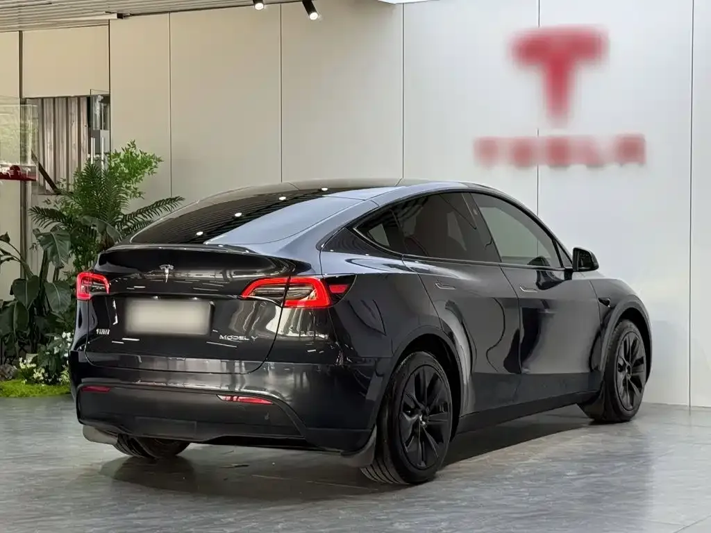 Tesla Model Y — фото 7