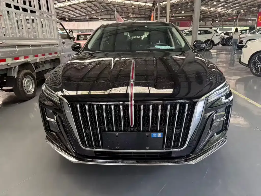 Hongqi H5 — фото 10