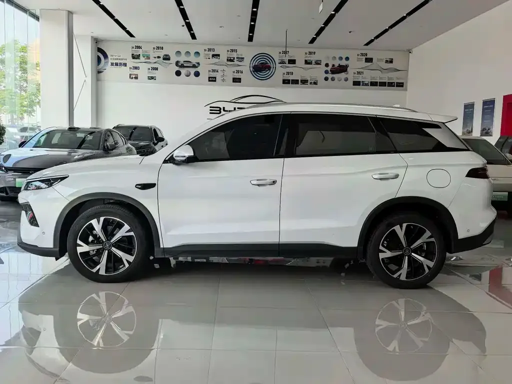 BYD Pro New Energy — фото 9