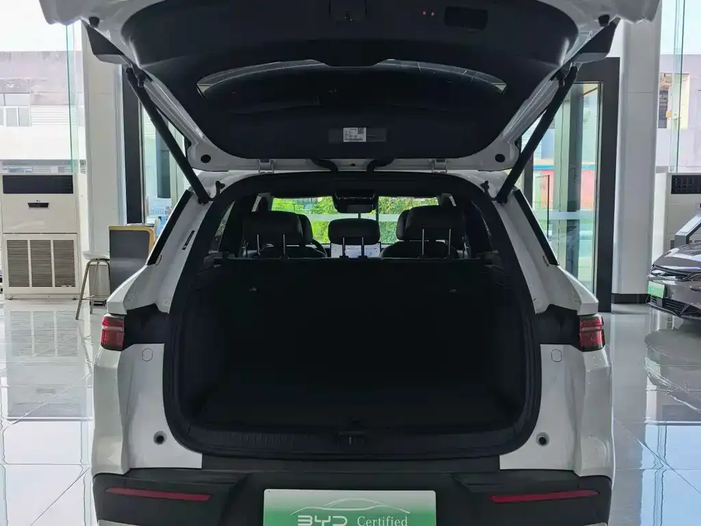 BYD Pro New Energy — фото 5