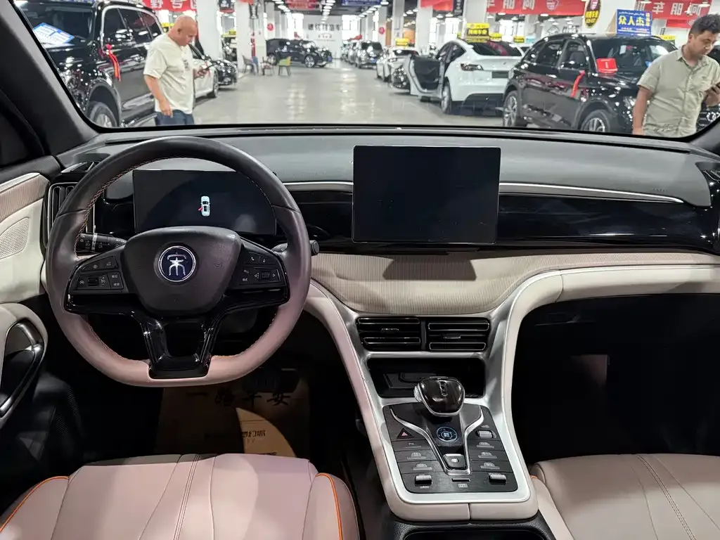 BYD Pro New Energy — фото 9
