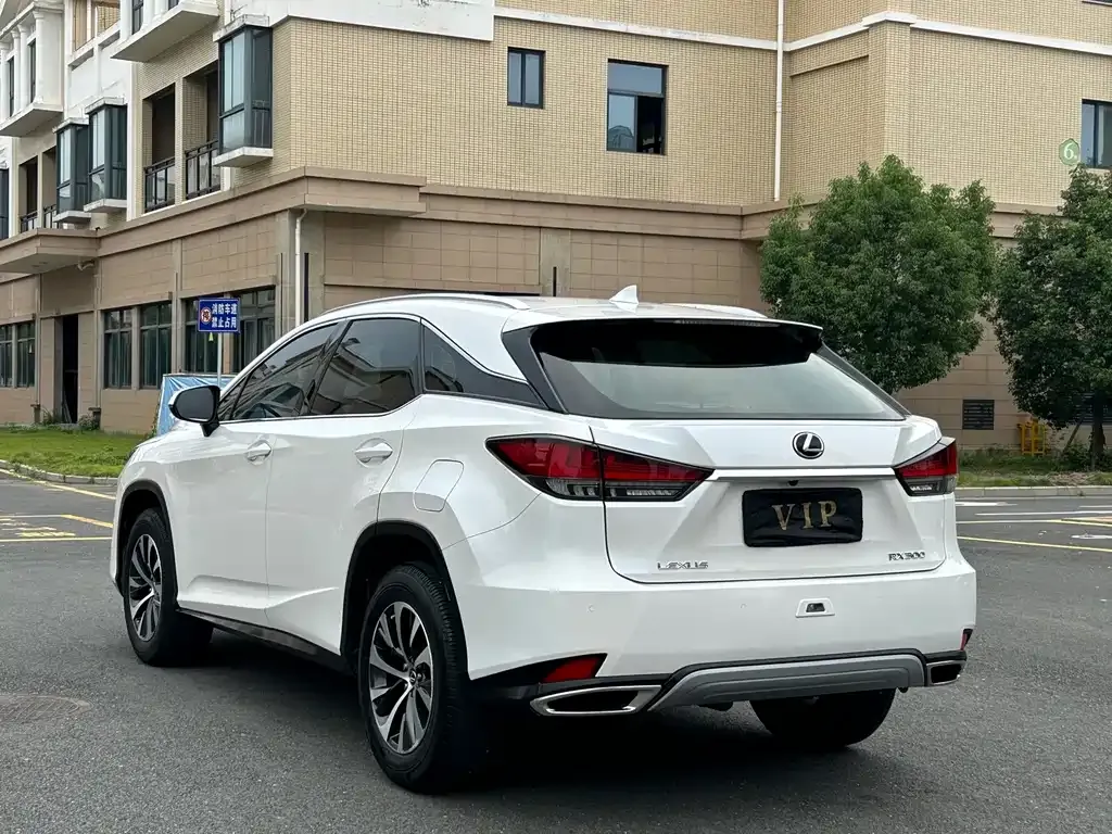 Lexus RX — фото 7