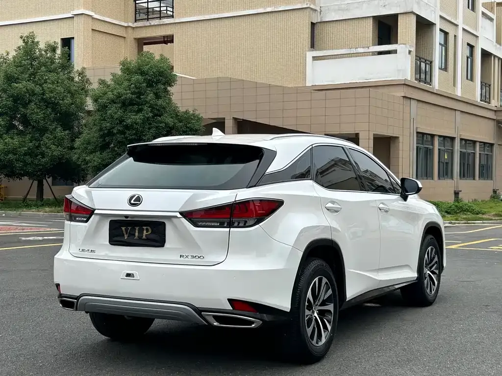 Lexus RX — фото 9