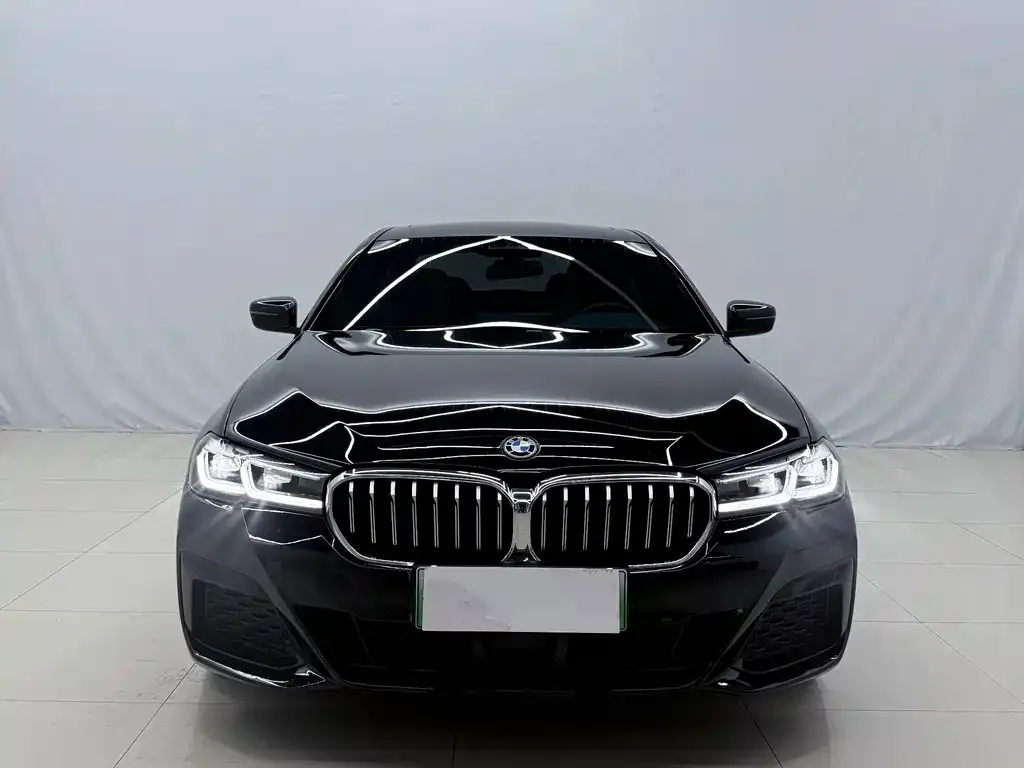 BMW 5 Series New Energy — фото 3