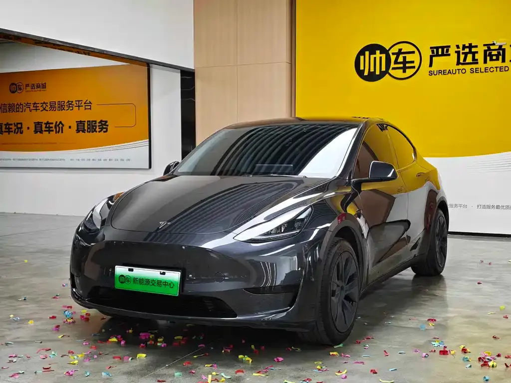 Tesla Model Y — фото 1