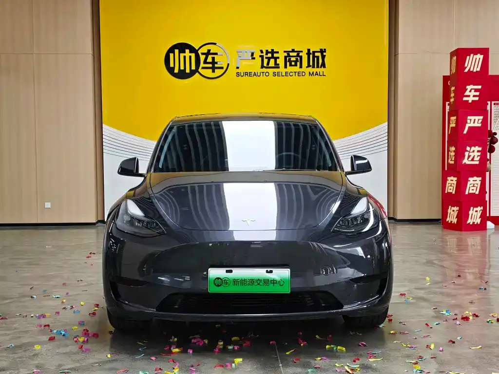 Tesla Model Y — фото 10