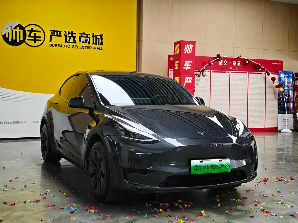 Tesla Model Y — фото 8