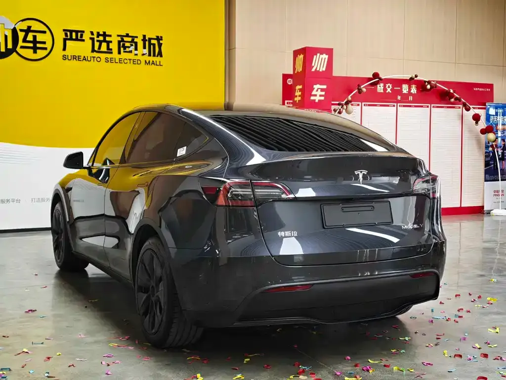 Tesla Model Y — фото 3