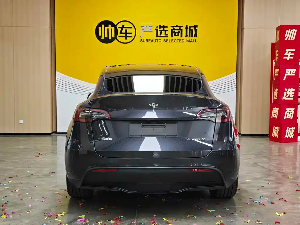 Tesla Model Y — фото 6